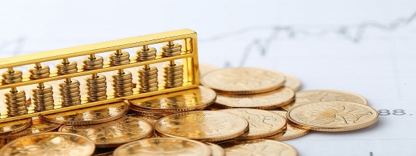 Attestazione e Cauzione capacit&agrave; finanziaria